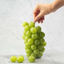 고당도 샤인머스켓 포도 650g 1kg 2.3kg 선물용 씨없는 청 망고 포도 산지직송, 1kg내외 / 특 / 2수