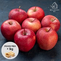 [2박스구매+1kg]경북 가정용 사과 2kg(13과내 꼬마), 단품