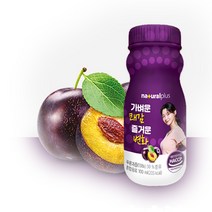 내츄럴플러스 가벼운쾌감 즐거운변화100ml 푸룬 쾌변쥬스 식이섬유, 3개, 3개
