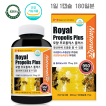 네추럴라이즈 로얄 프로폴리스 플러스 950mg x 180캡슐, 180정