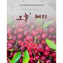 왕체리 신선 당도 프리미엄 항공직송 보장 2kg 생 체리, 1개, 상세페이지 참조, 상세페이지 참조
