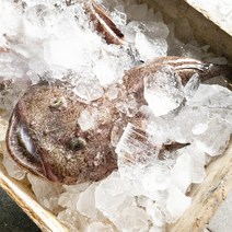 통영 손질 토막 아귀 1kg (급냉) 구매시 찜소스 증정, 손질아귀(급냉)1kg+찜소스증정, 1개
