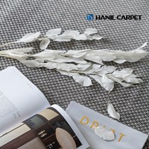 [한일카페트] 유럽직수입 코스터 사이잘룩 사계절 카페트 러그 120x170