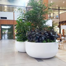 유리 섬유 화분 쇼핑몰 백화점 분재 도자기 꽃 식물, 큰, 흰색 100x높이 50cm