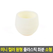 미니 컬러 원형 플라스틱 화분 소형 화이트 작은화분 분갈이 선물용 테이블 다육이 책상용 플라워 원예 취미생