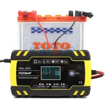foxsur 12v 24v 8a 펄스 수리 충전기 lcd 디스플레이, EU 플러그