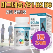 산화마그네슘 비타민B1 B2 B6 하루1정 무기질 광동 신경 근육 기능 유지 입떨림 다리 저림 키즈 눈아래떨림 추천 주부 안면근육떨림 눈가떨림 마그네슘부족 왼쪽눈떨림 어르신 선물용