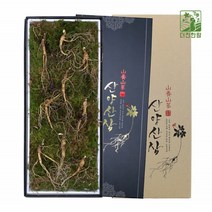 기운내삼 산양산삼 8년-9년근 9뿌리 선물 세트 포장 강원도 특산품 고산지대 산지직송 농장 명품 정품 국내산 어버이날 추석 구정 명절 사포닌 진세노사이드 한국임업진흥원 품질검사합격
