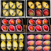 태국망고 애플망고 프리미엄 망고 과일 선물세트, 상세페이지 참조5, 태국망고3kg 내외 8과 선물