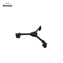 [STEADY] Dolly L