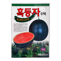 흑동자 흑피 미니수박 수박씨앗 10립, 1개