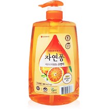 자연퐁 비린내 걱정없는 오렌지 주방세제, 1kg, 5개