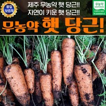 제주 무농약 당근 3kg 쥬스용, 1개