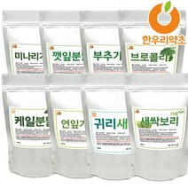 미나리 깻잎 부추 브로콜리 케일 연잎 새싹귀리 새싹보리 가루 분말 국산 100%, 4_브로콜리가루 300g