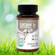 양태반정 호주산 500mg x 100정 HACCP 인증제품, 1개