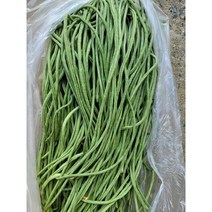 (차씨네숍)줄콩 동남아시아채소 생줄콩 롱빈 껍질콩 초록줄콩, 줄콩 1kg