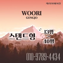 캐리어 스탠드 에어컨 매장용 인버터 시스템 에어컨 30평 냉난방기 (DMQE301LAWWSX), CPV-Q1101PX