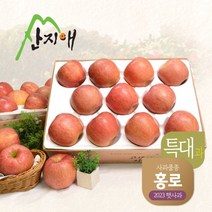 산지애) 알뜰햇사과(특대과) 4kg+4kg, 단품