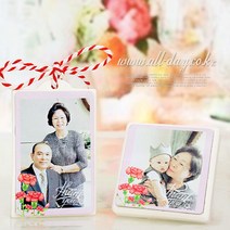 올데이 포토 석고방향제-카네이션(땡큐)-[본품+케이스+설명서], 쉐리블루밍