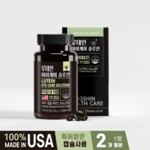[동신헬스케어] 루테인 아이케어 솔루션 60캡슐 2개월분 4개월 6개월 12개월 식약처 눈건강 시력개선, 12개월(6개)
