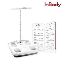 인바디 체지방 측정 스마트 체중계 다이얼 H20N 소프트화이트, 1개, 1개