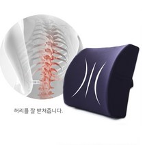 [AMISO] 인체공학설계로 허리가 더욱 편안한 메모리품 등받이쿠션, 블랙