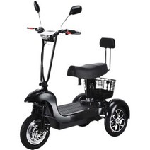 전동 바이크 전기 스쿠터 3륜 경량 농촌 소형 자전거, A타입