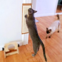 고양이를 위한 수직스크래쳐 고양이 물품 벽지 장난감만들기 벽 붙이는 바닥 스크레쳐, 오트밀
