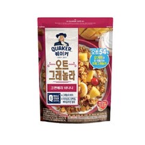 롯데제과 퀘이커 오트 그래놀라 시리얼 크랜베리바나나, 1개, 350g