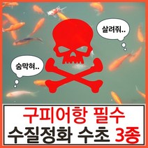 수초하우스)구피어항 필수 수질정화 수초 3종 세트(고정구피 막구피 치어 알풀 알비노풀레드 애완 물고기 백탁 환수 물잡이 물갈이 수질개선), 싸게더많이(총27줄기)