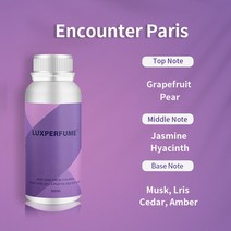 100ML 알루미늄 병 향수 타입 탑 에센셜 오일 전기 아로마 디퓨저 워터리스 전용 에어 이오 나이저 정수기 청정제, 09 Encounter Paris