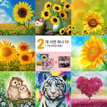 [공블리] 보석십자수 DIY 액자형 캔버스 해바라기 30x30, D02 사랑스러운 꽃부엉이