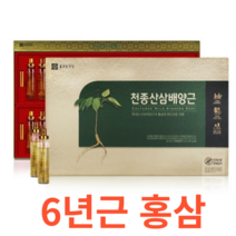 종근당건강 천종산삼배양근 20ml x 30병 6년근 홍삼 국산 농축액 비타민c 1회 1병 식물혼합 당귀 천궁 황기 작약 감초 계피 숙지황 고형분 60% 복합황급 추출물 건강 웰빙, 30병x1개