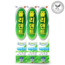 폴리덴트 의치접착제 무향 70g 3개 의치용 틀니접착제