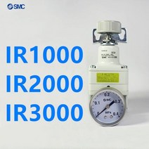 정밀 레귤레이터 기압 밸브 신제품, IR2000-02, Nill