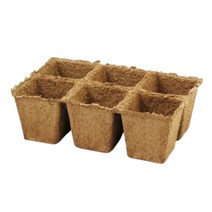 마이플랜트 강낭콩 씨앗 20g, 추가구매-지피포트 사각 1개