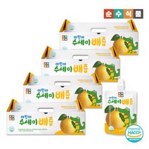 순수식품 어린이 수세미배즙 4박스 120포 (100ml x 120포), 4개, 없음