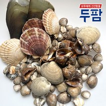 두팜 모듬조개 가족세트 4kg내외 3~4인분 내외, 가족세트 작은조개포함 4kg, 1세트