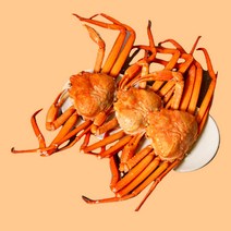 포항 자숙 홍게 제철 육수용 수율 50% 3kg 내외 10마리