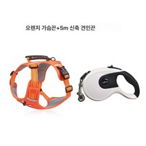 애견 가슴 멜빵 강아지 산책로프 견인끈 코키테디 중형 강아지 조끼식 방폭 튜브, 색깔16, 옵션1