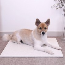 오션웰리빙 반려동물 대리석 쿨 매트, 화이트그레이