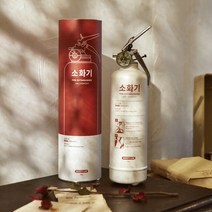 세이브 분말 소화기 1KG, 1개