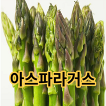 수입산 아스파라거스 싱싱한 아삭아삭 풍부한 무기질 500g