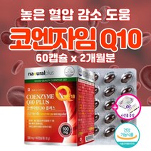고함량 코큐텐 높은 혈압 고혈압 감소 낮추는 도움 약2개월 영양제 혈액순환 혈관 케어 에 좋은 코엔자임 Q10 청소 큐텐 항산화 증상 남자 여자 여성 40대 50대 60대 갱년기, 60캡슐_2개월분, 60정