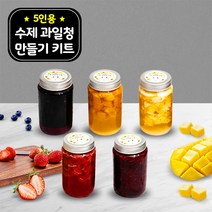 수제 과일청 만들기 세트 DIY 수제청 키트 (5인용 150ml) 블루베리 망고 파인애플 딸기 라즈베리, 150ml, 1개