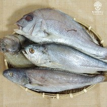 [자연한끼] 삼천포 반건조 제수 생선 모듬, 1세트, 민어구성(돔1/참가자미1/민어3/부세조기1)