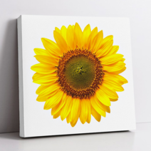 돈들어오는 해바라기 그림 액자 사진 풍수, 03번, 1개