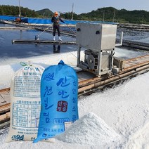 2023년 신안천일염 굵은소금 20kg[이중포장], 20kg, 1개