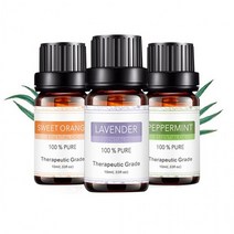 쁘띠몰스토어아로마 오일 5가지 향 에센셜 10ml DD-10990