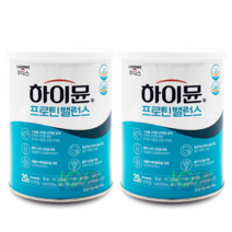 하이뮨 하이문 일동후디스하이뮨 후디스 304g 2통, 후디스 하이뮨 304g 2통